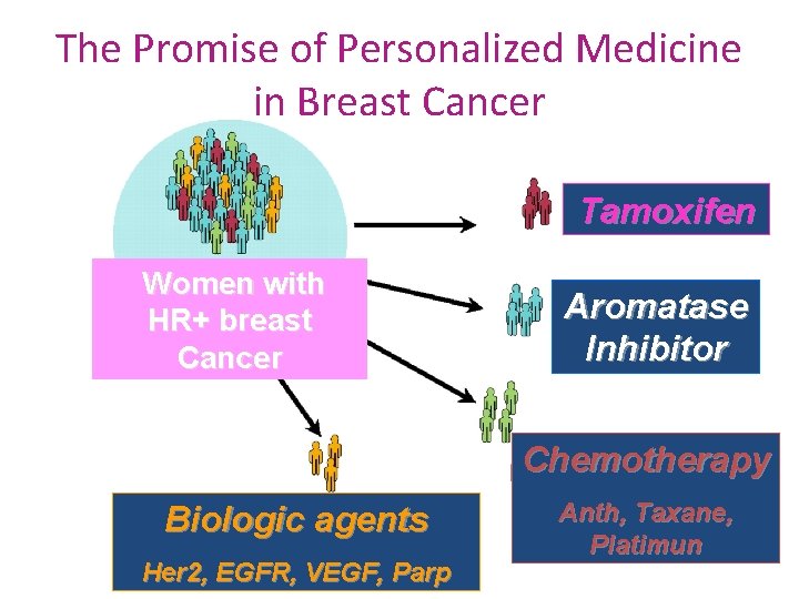 The Promise of Personalized Medicine in Breast Cancer Tamoxifen Women with HR+ breast Cancer