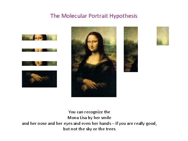 The Molecular Portrait Hypothesis You can recognize the Mona Lisa by her smile and