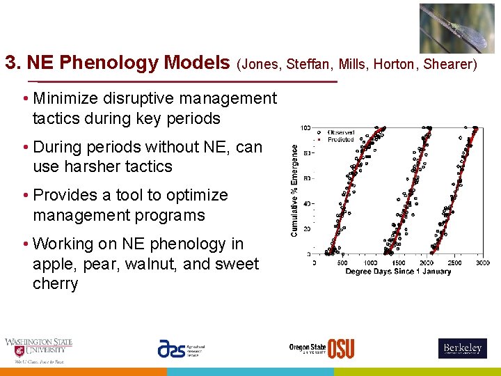 3. NE Phenology Models (Jones, Steffan, Mills, Horton, Shearer) • Minimize disruptive management tactics