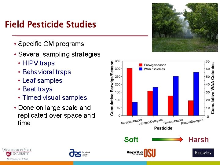 Field Pesticide Studies • Specific CM programs • Several sampling strategies • HIPV traps