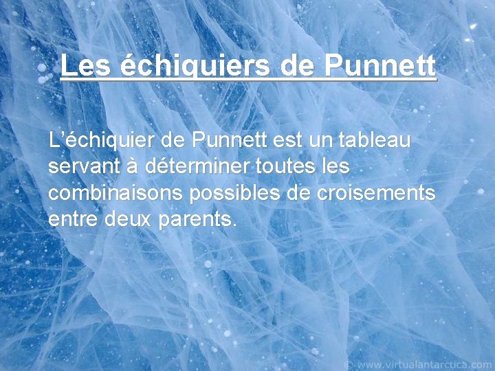 Les échiquiers de Punnett L’échiquier de Punnett est un tableau servant à déterminer toutes