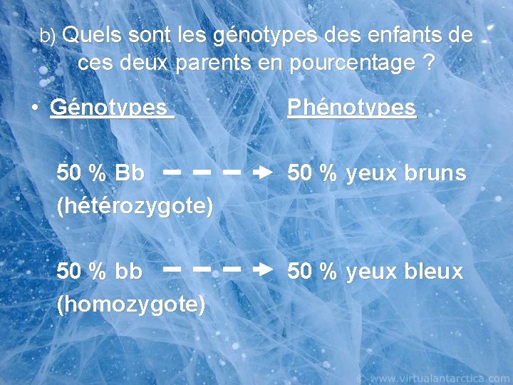 b) Quels sont les génotypes des enfants de ces deux parents en pourcentage ?