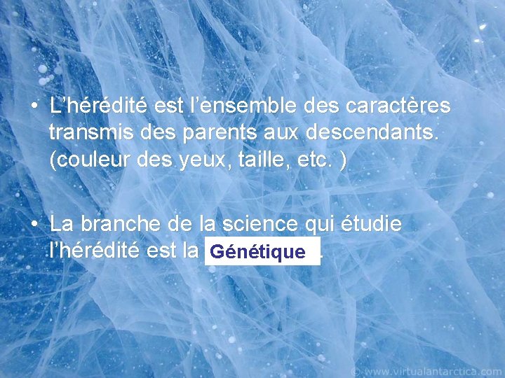  • L’hérédité est l’ensemble des caractères transmis des parents aux descendants. (couleur des