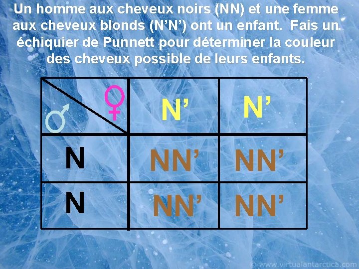 Un homme aux cheveux noirs (NN) et une femme aux cheveux blonds (N’N’) ont