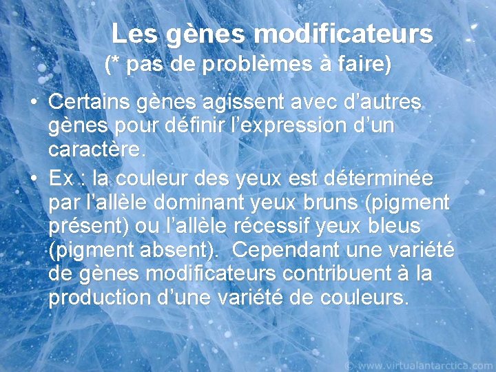 Les gènes modificateurs (* pas de problèmes à faire) • Certains gènes agissent avec