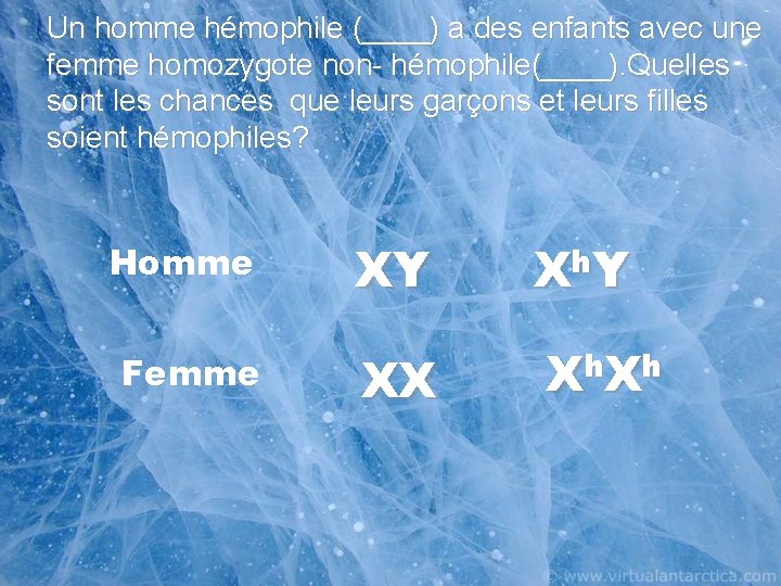 Un homme hémophile (____) a des enfants avec une femme homozygote non- hémophile(____). Quelles