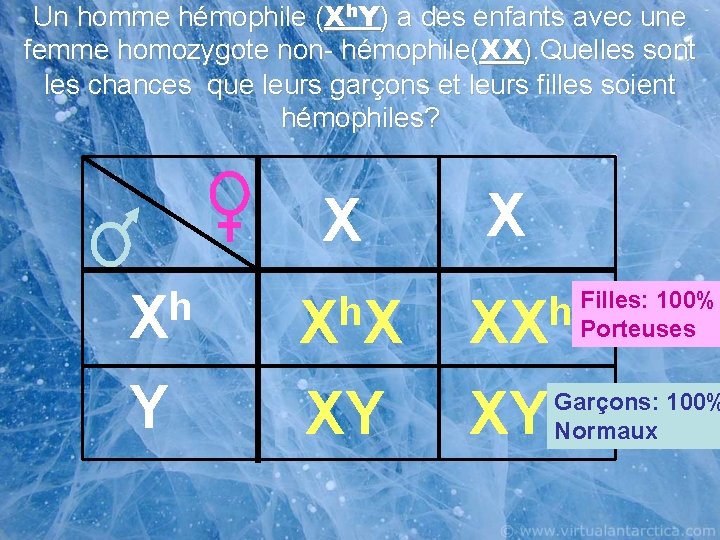 Un homme hémophile (Xh. Y) a des enfants avec une femme homozygote non- hémophile(XX).