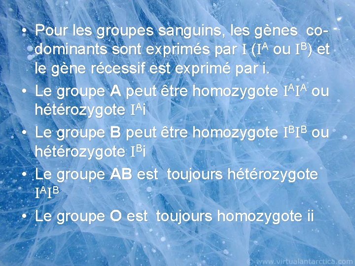  • Pour les groupes sanguins, les gènes codominants sont exprimés par I (IA