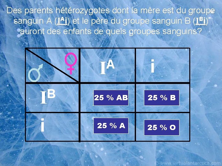 Des parents hétérozygotes dont la mère est du groupe sanguin A (IAi) et le