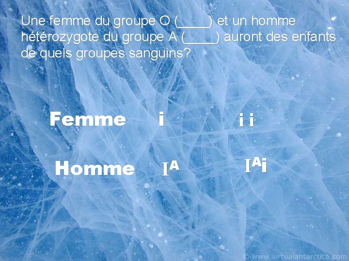 Une femme du groupe O (____) et un homme hétérozygote du groupe A (____)