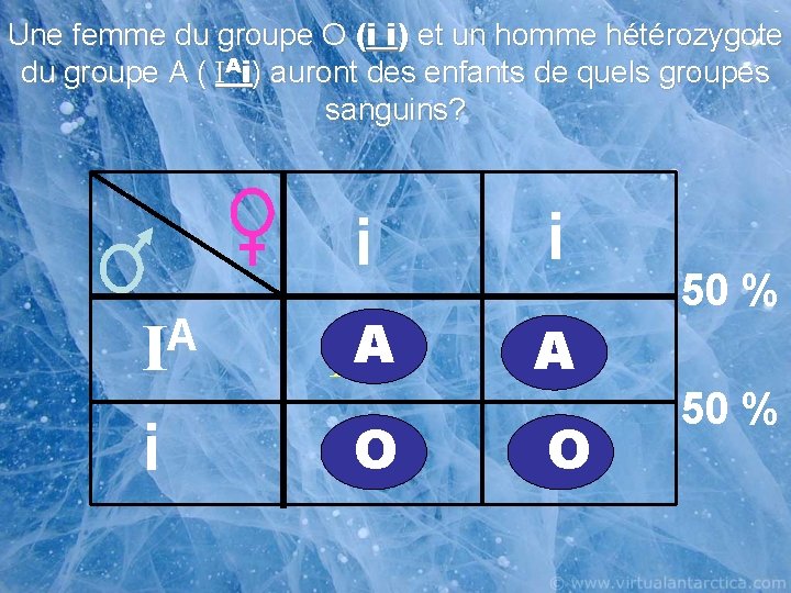 Une femme du groupe O (i i) et un homme hétérozygote du groupe A