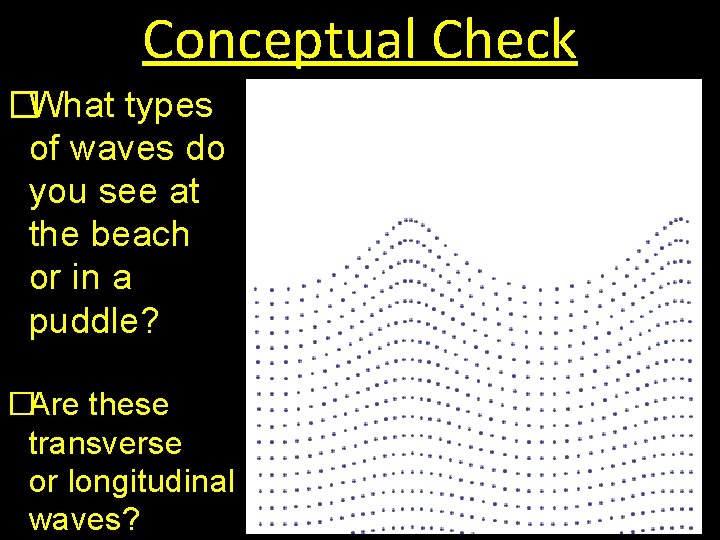 Conceptual Check �What types of waves do you see at the beach or in