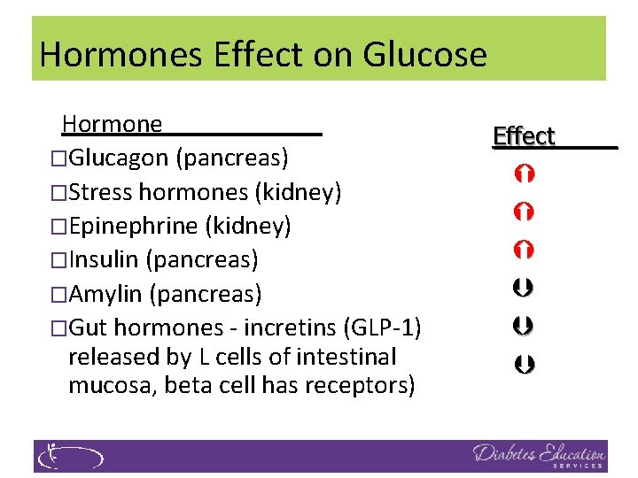Hormones Effect on Glucose Hormone �Glucagon (pancreas) �Stress hormones (kidney) �Epinephrine (kidney) �Insulin (pancreas)