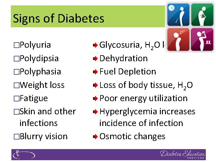 Signs of Diabetes �Polyuria �Polydipsia �Polyphasia �Weight loss �Fatigue �Skin and other infections �Blurry