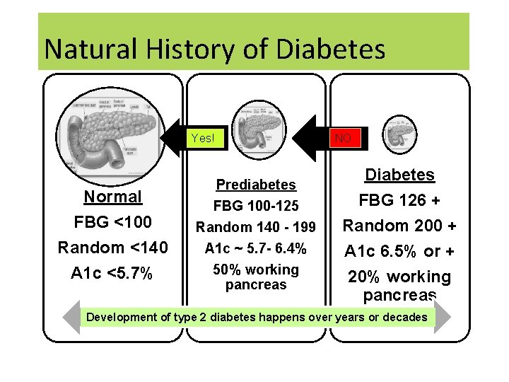 Natural History of Diabetes Yes! Normal FBG <100 Random <140 A 1 c <5.