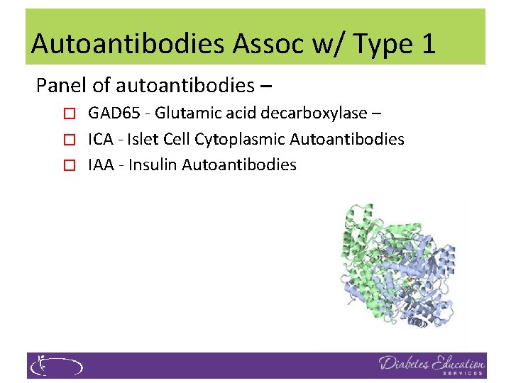 Autoantibodies Assoc w/ Type 1 Panel of autoantibodies – � � � GAD 65