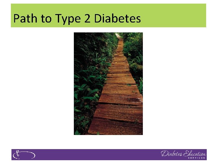 Path to Type 2 Diabetes 