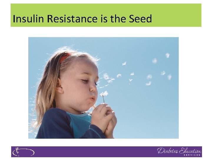 Insulin Resistance is the Seed 