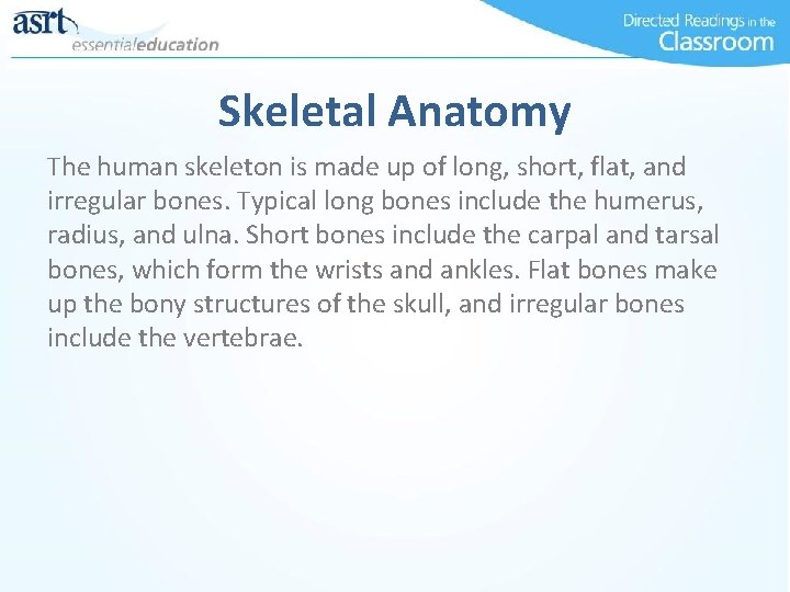 Skeletal Anatomy The human skeleton is made up of long, short, flat, and irregular