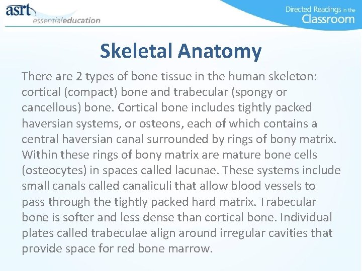 Skeletal Anatomy There are 2 types of bone tissue in the human skeleton: cortical
