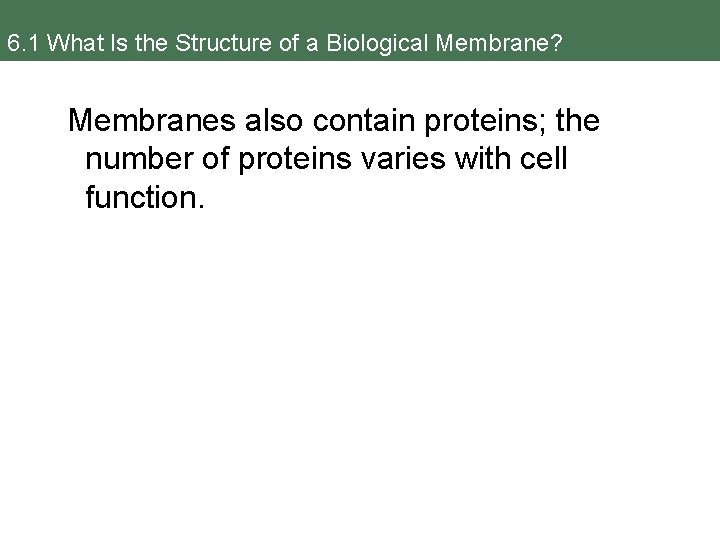 6. 1 What Is the Structure of a Biological Membrane? Membranes also contain proteins;