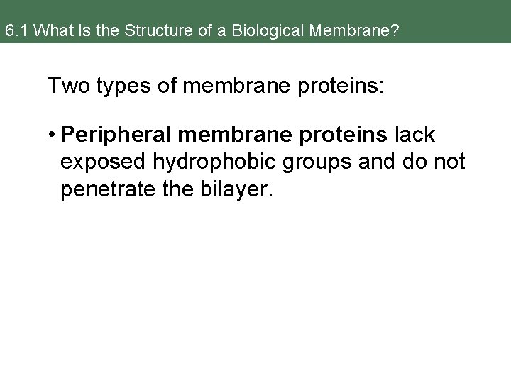 6. 1 What Is the Structure of a Biological Membrane? Two types of membrane