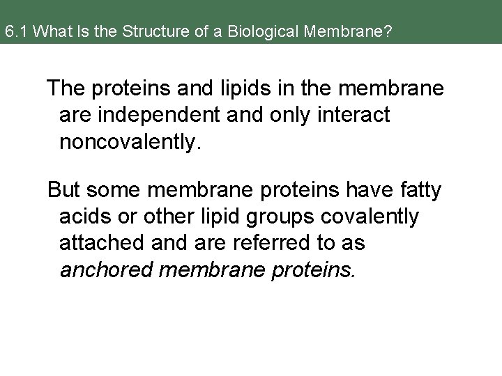 6. 1 What Is the Structure of a Biological Membrane? The proteins and lipids