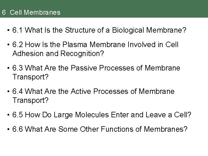 6 Cell Membranes • 6. 1 What Is the Structure of a Biological Membrane?