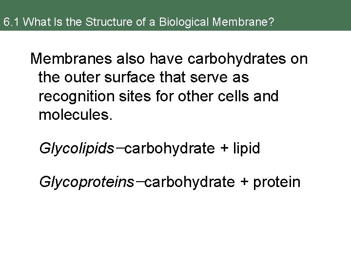 6. 1 What Is the Structure of a Biological Membrane? Membranes also have carbohydrates