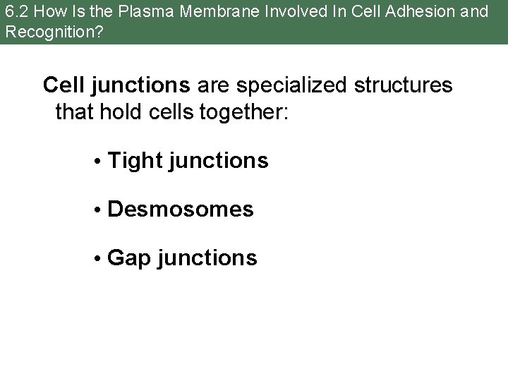 6. 2 How Is the Plasma Membrane Involved In Cell Adhesion and Recognition? Cell