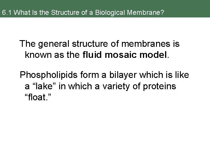 6. 1 What Is the Structure of a Biological Membrane? The general structure of