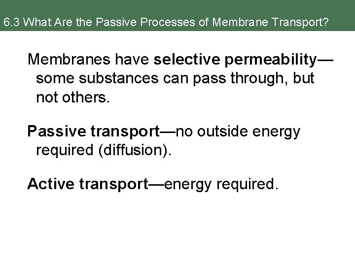 6. 3 What Are the Passive Processes of Membrane Transport? Membranes have selective permeability—