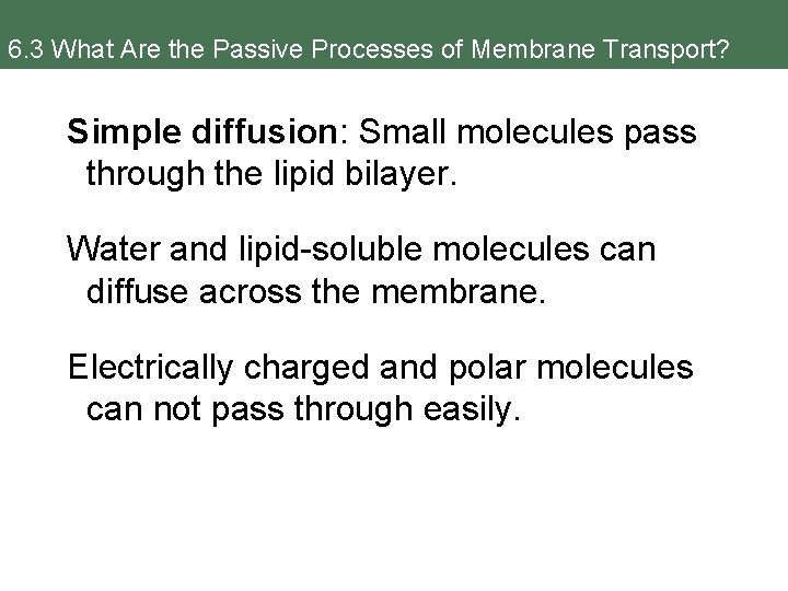 6. 3 What Are the Passive Processes of Membrane Transport? Simple diffusion: Small molecules