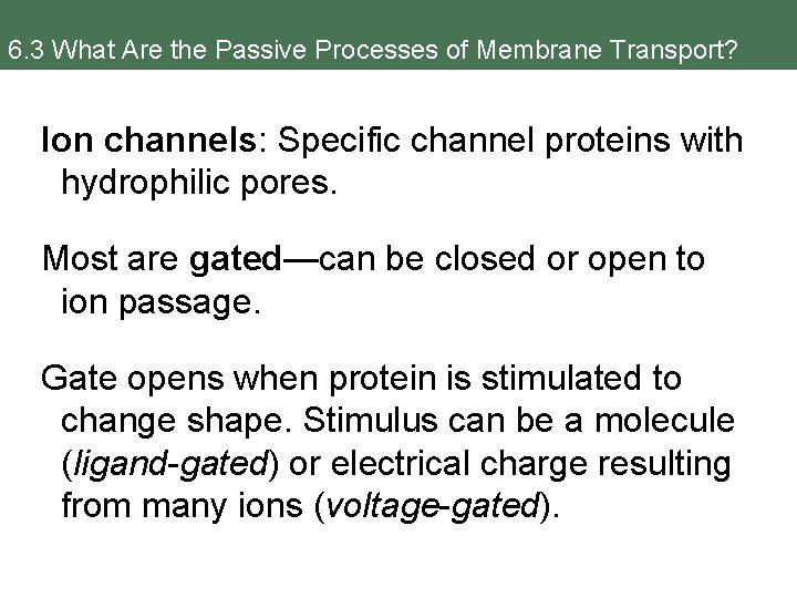 6. 3 What Are the Passive Processes of Membrane Transport? Ion channels: Specific channel