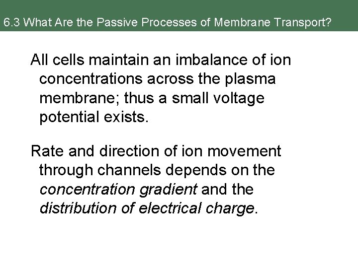 6. 3 What Are the Passive Processes of Membrane Transport? All cells maintain an