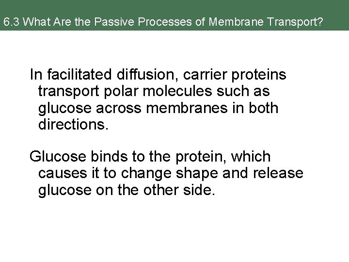 6. 3 What Are the Passive Processes of Membrane Transport? In facilitated diffusion, carrier