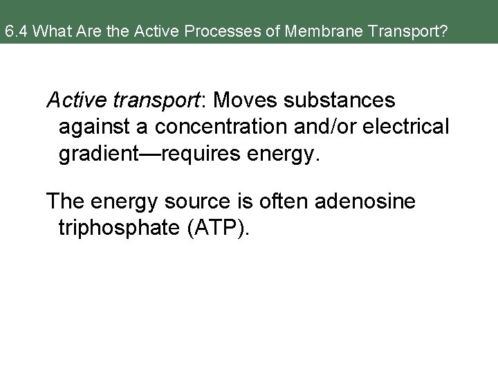 6. 4 What Are the Active Processes of Membrane Transport? Active transport: Moves substances