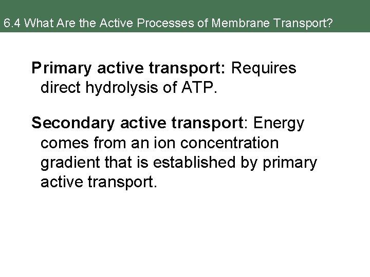 6. 4 What Are the Active Processes of Membrane Transport? Primary active transport: Requires