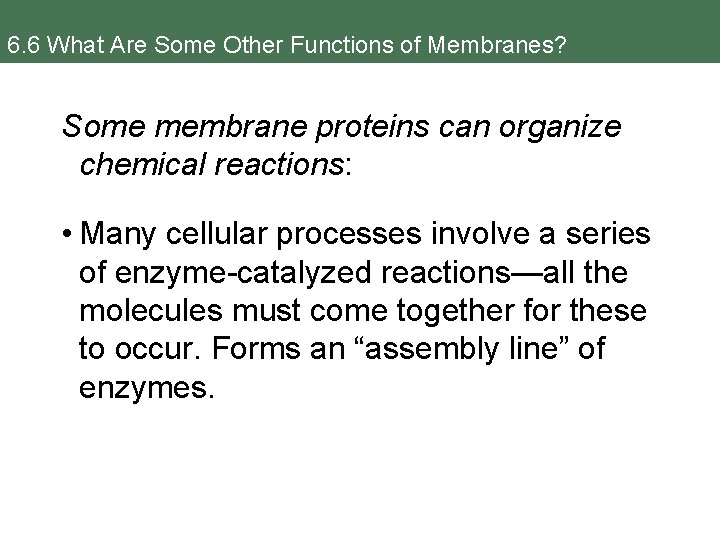 6. 6 What Are Some Other Functions of Membranes? Some membrane proteins can organize