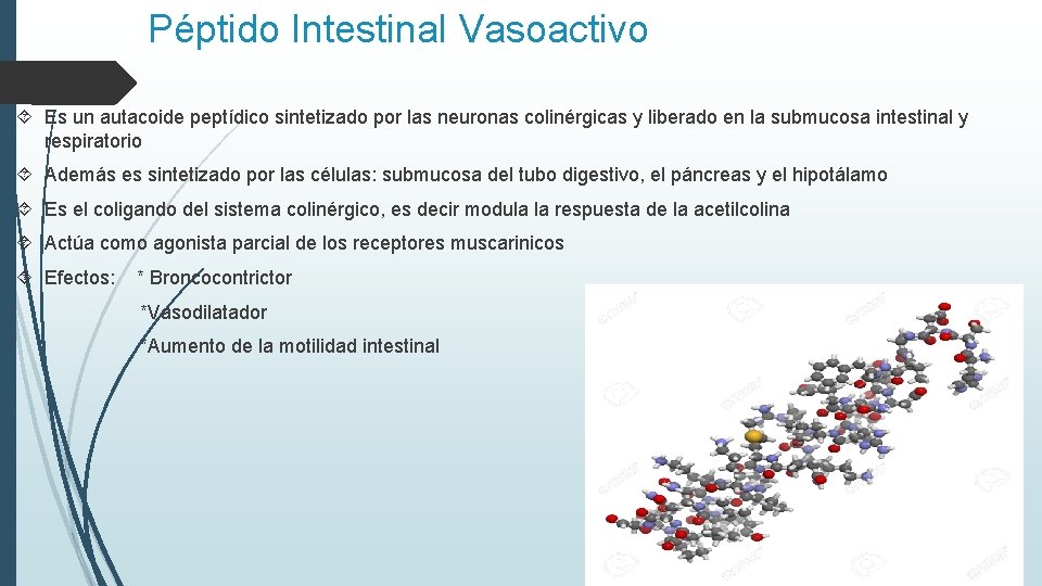 Péptido Intestinal Vasoactivo Es un autacoide peptídico sintetizado por las neuronas colinérgicas y liberado