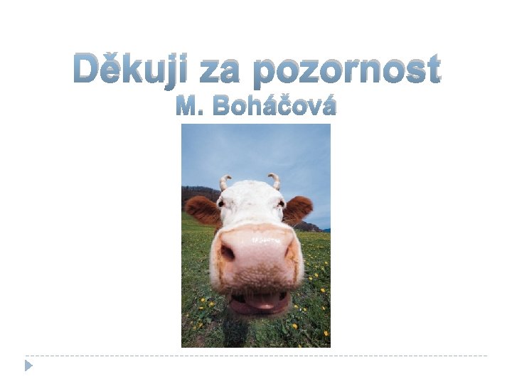 Děkuji za pozornost M. Boháčová 