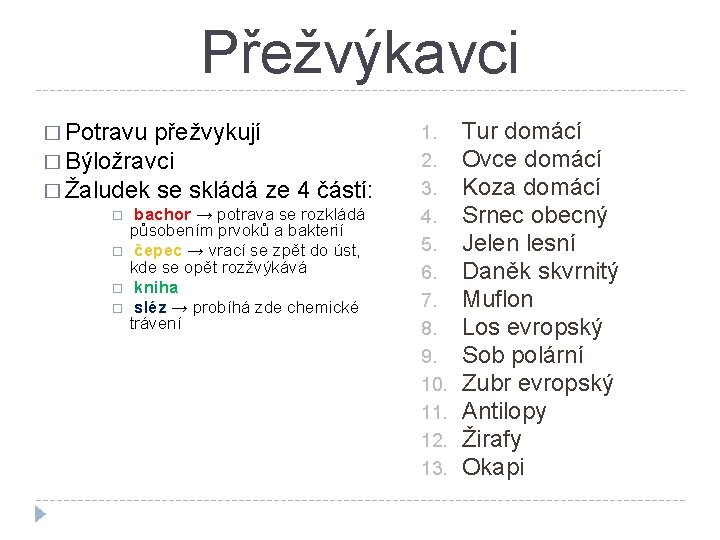 Přežvýkavci � Potravu přežvykují � Býložravci � Žaludek se skládá ze 4 částí: bachor