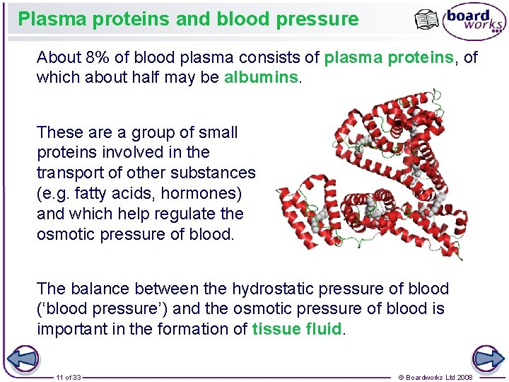 Plasma proteins and blood pressure About 8% of blood plasma consists of plasma proteins,