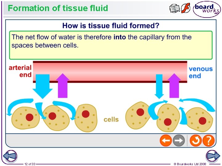 Formation of tissue fluid 12 of 33 © Boardworks Ltd 2008 