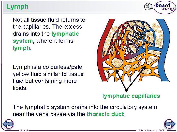 Lymph Not all tissue fluid returns to the capillaries. The excess drains into the