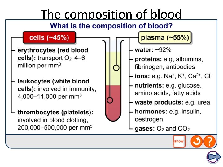 The composition of blood 