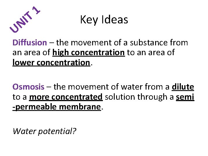 1 T I N U Key Ideas Diffusion – the movement of a substance