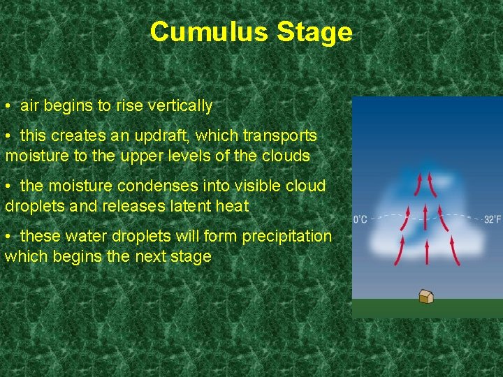 Cumulus Stage • air begins to rise vertically • this creates an updraft, which