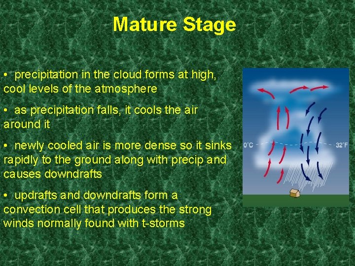 Mature Stage • precipitation in the cloud forms at high, cool levels of the