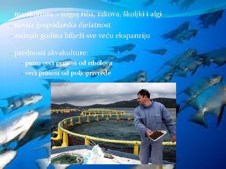 - marikultura = uzgoj riba, rakova, školjki i algi - novija gospodarska djelatnost -